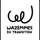 Wazemmes en transition
