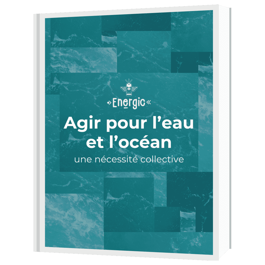 Illustration : Livre Blanc